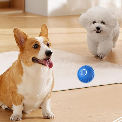 PouncePal™ Interactive Pet Toy