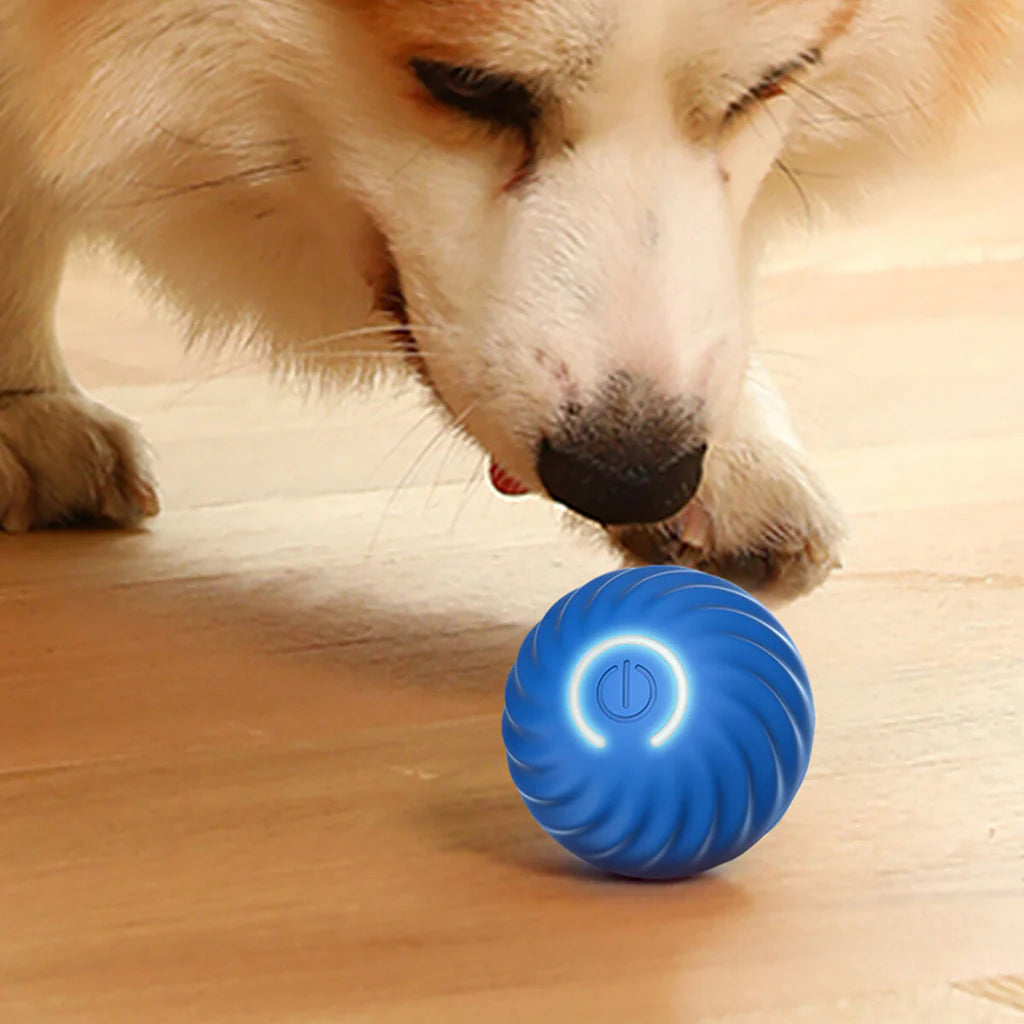 PouncePal™ Interactive Pet Toy