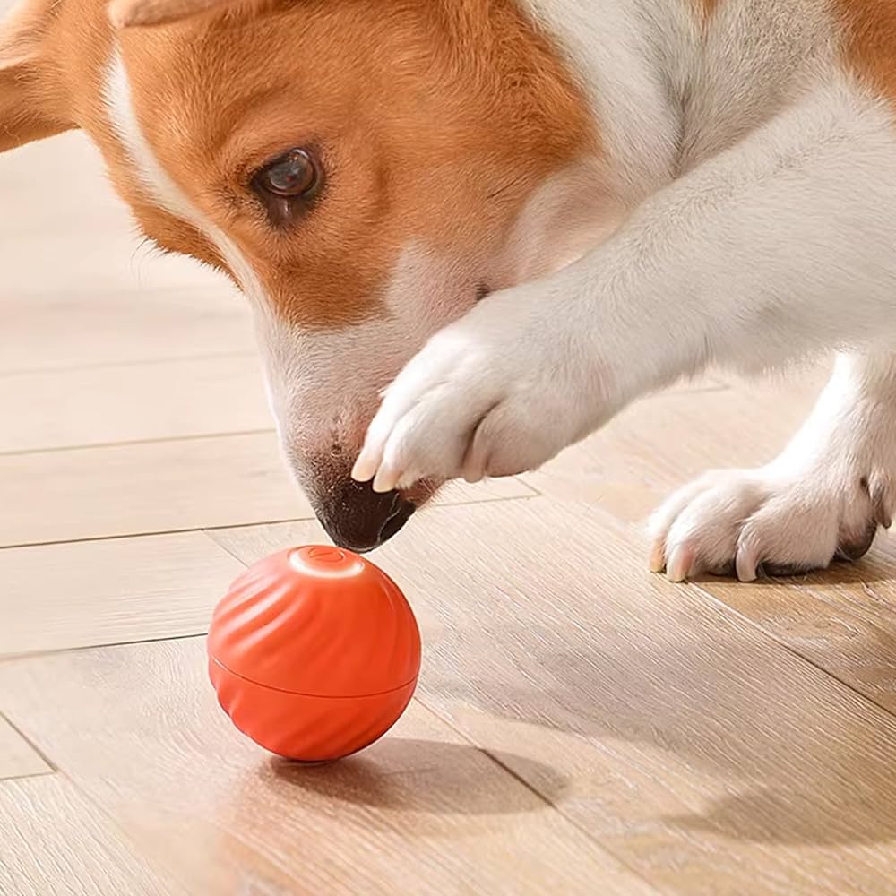 PouncePal™ Interactive Pet Toy