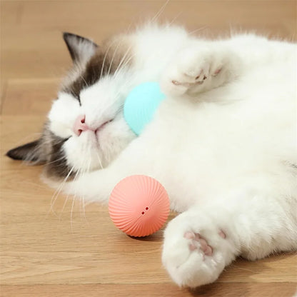 PouncePal™ Interactive Pet Toy