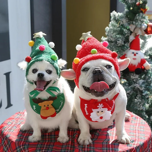 Pawsome Christmas Outfit