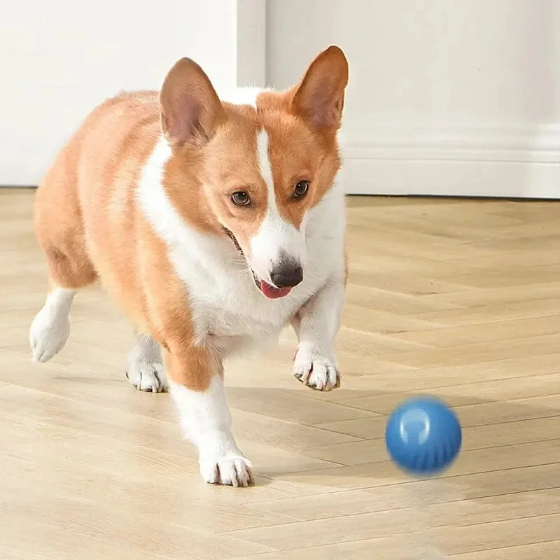 PouncePal™ Interactive Pet Toy