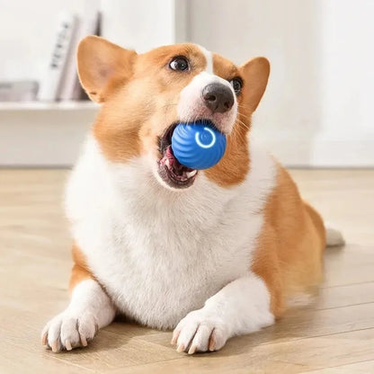 PouncePal™ Interactive Pet Toy