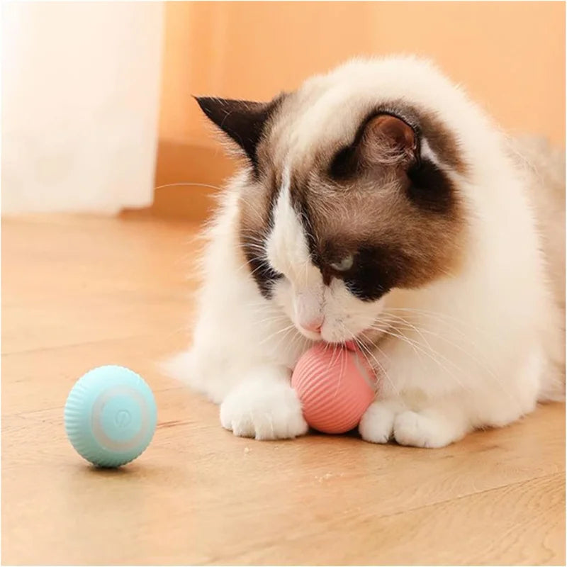 PouncePal™ Interactive Pet Toy